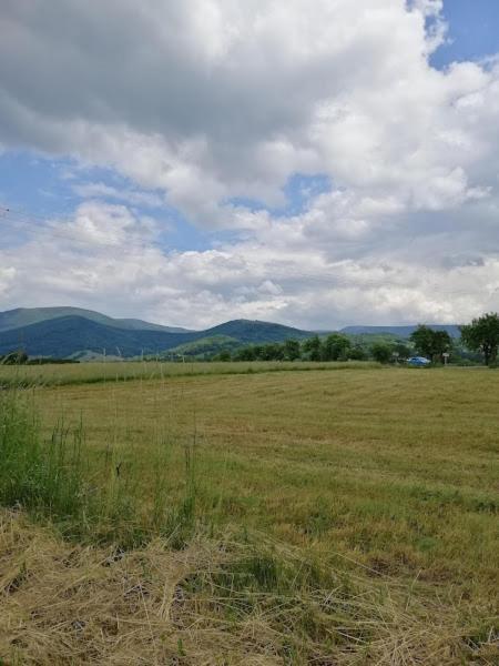 Chata U Losinky Velké Losiny Exteriér fotografie
